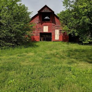 Meet your Posher, Maxine